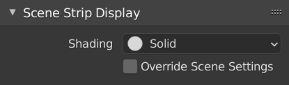 Scene Strip Display