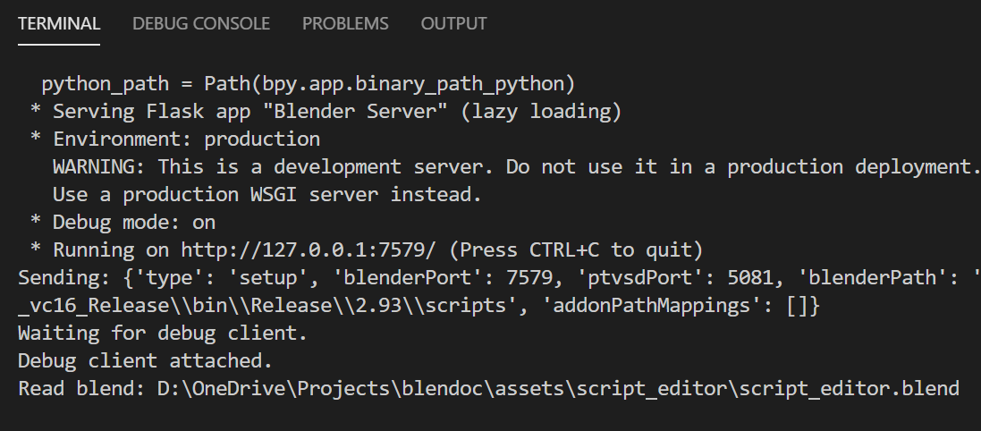 terminal window of Blender extension