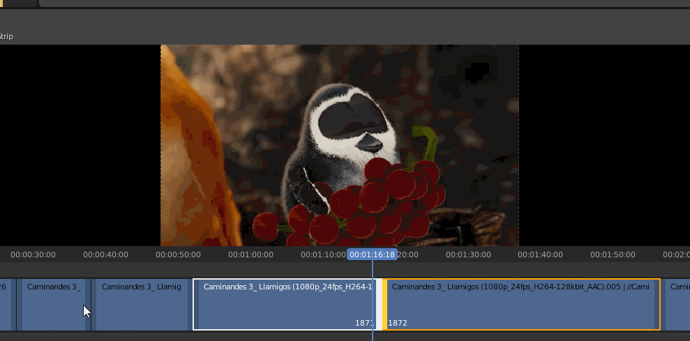 Preview during Transform