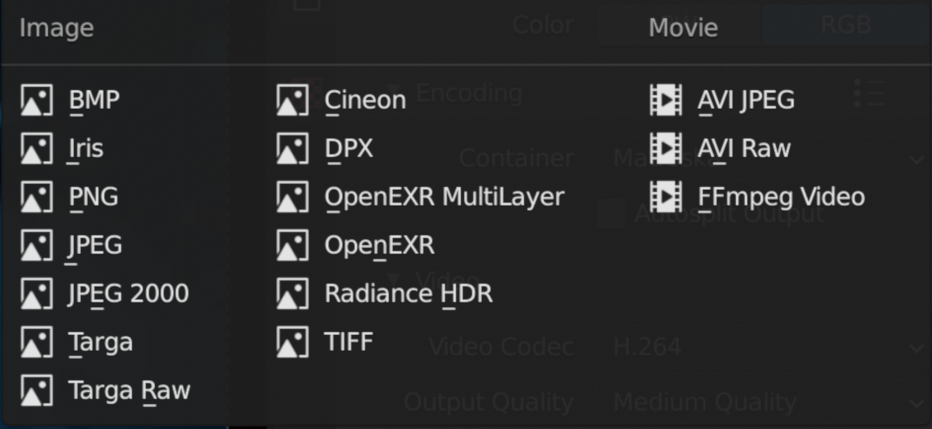 File formats